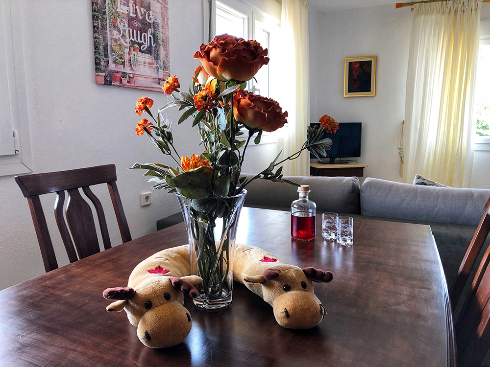 placeholder image-sq